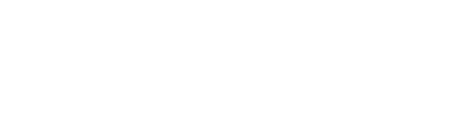 Brandi Filer logo